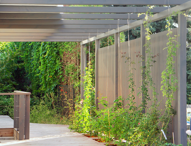 Vorgarten mit Terrassendecks und Pergola