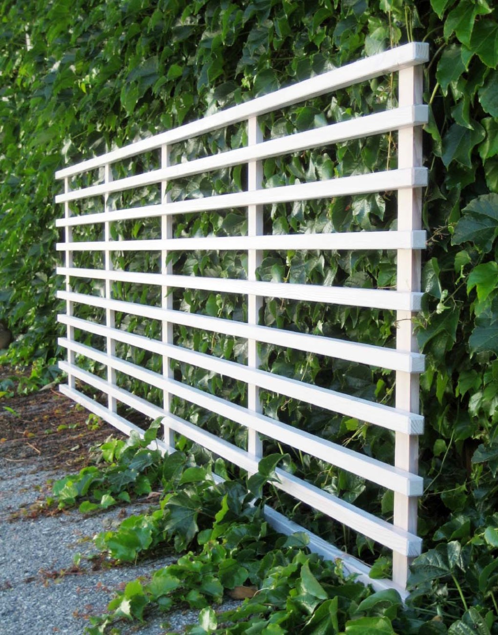 Rankgitter WALLI Wohnraum Garten