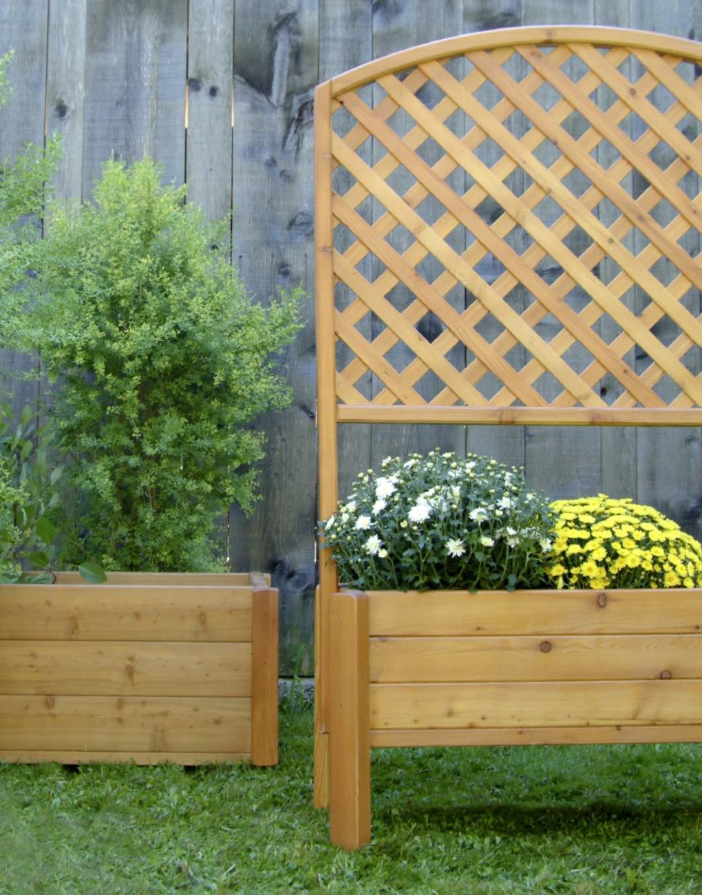 Rankgitter & Rankhilfe aus Holz nach Maß WALLI Wohnraum Garten