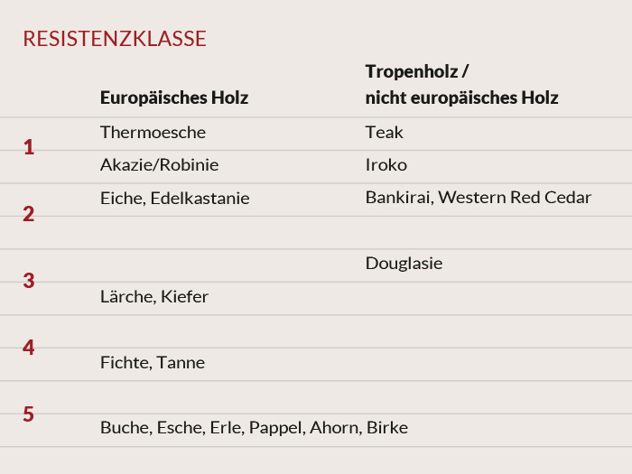 Erfahren Sie mehr über die Haltbarkeit von Holz für den Aussenbereich: Thermoesche, Akazie / Robinie und Eiche sind "unsere" Hölzer