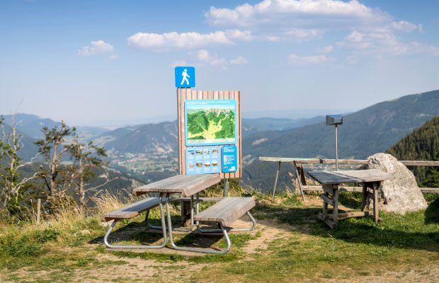 Die Wiener Alpen Tisch-Bank mit Leitsystem in Lärche von WALLI Wohnraum Garten