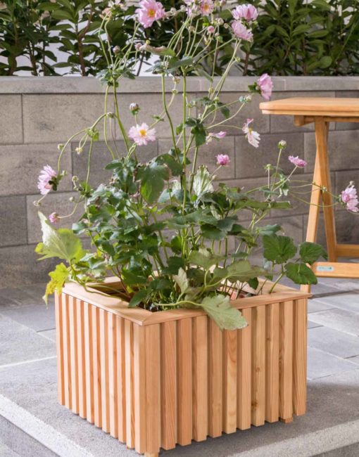 Pflanzkiste aus Lärchenholz im modernen Design für Garten und Terrasse vom Gartentischler