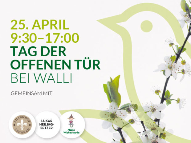 Events_Tag_der_offenen_Tuer Hausmesse bei WALLI Gartenmöbel