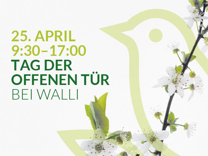Tag der offenen Tür bei WALLI