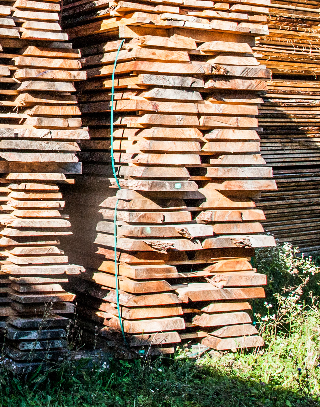 Sichtschutz – individuelle Lösungen in Holz exklusiv vom Gartentischler