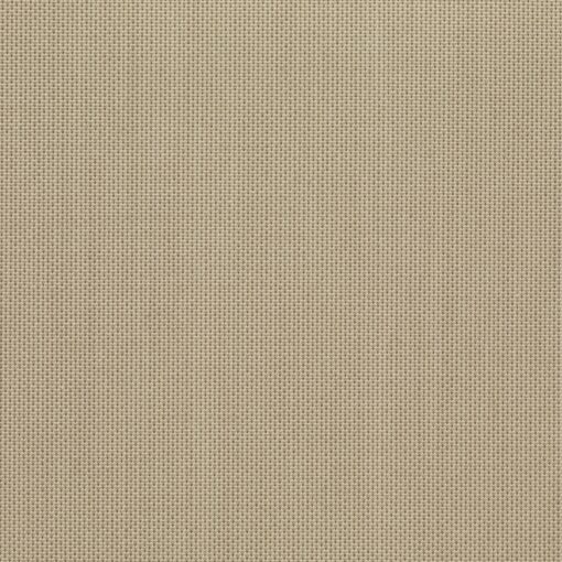 526_Bamboo