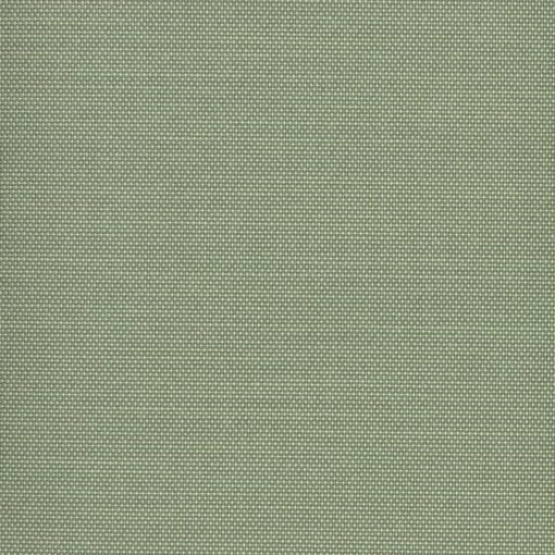 579_Pistacchio