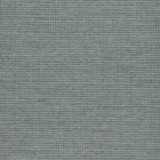 588_Olive