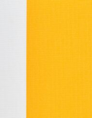 624_Yellow_Stripe